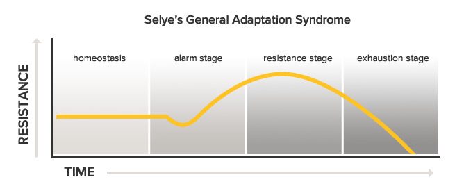 general-adaptation-syndrome